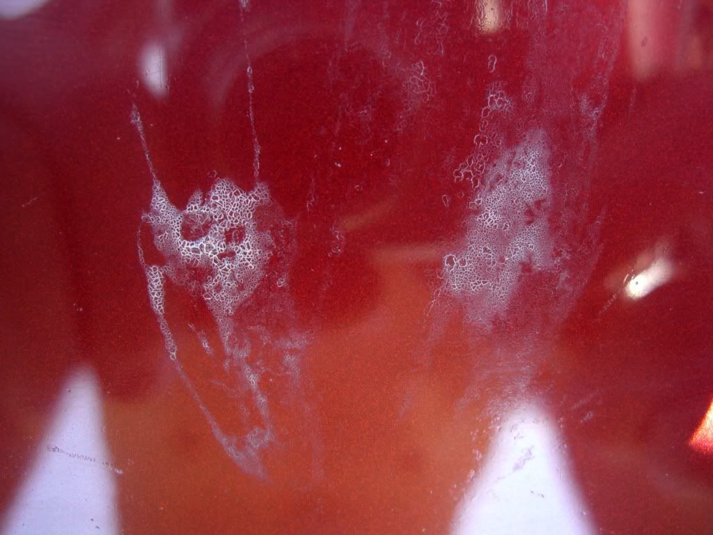 Bird poop residue in the clear coat?